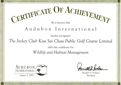 awards6.jpg